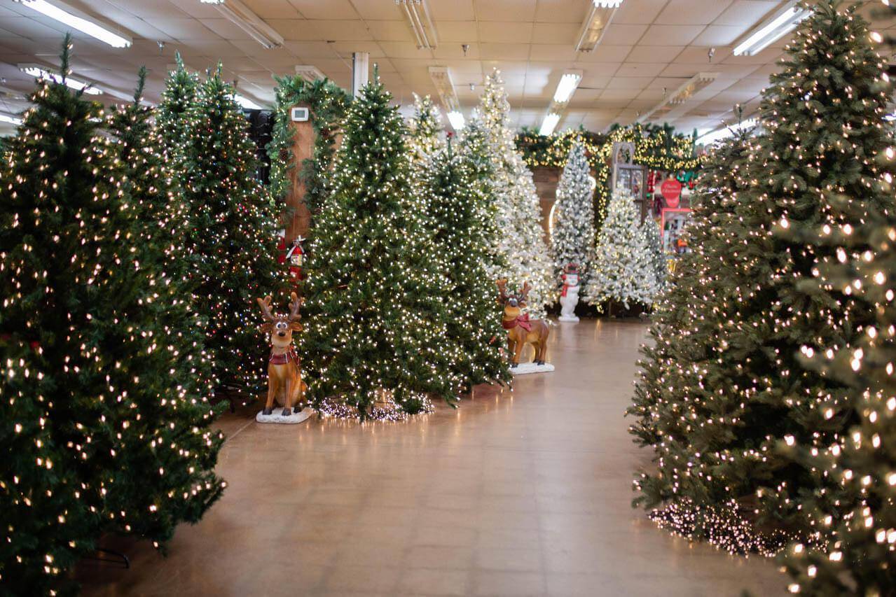 Alberi di Natale Alberi di Natale